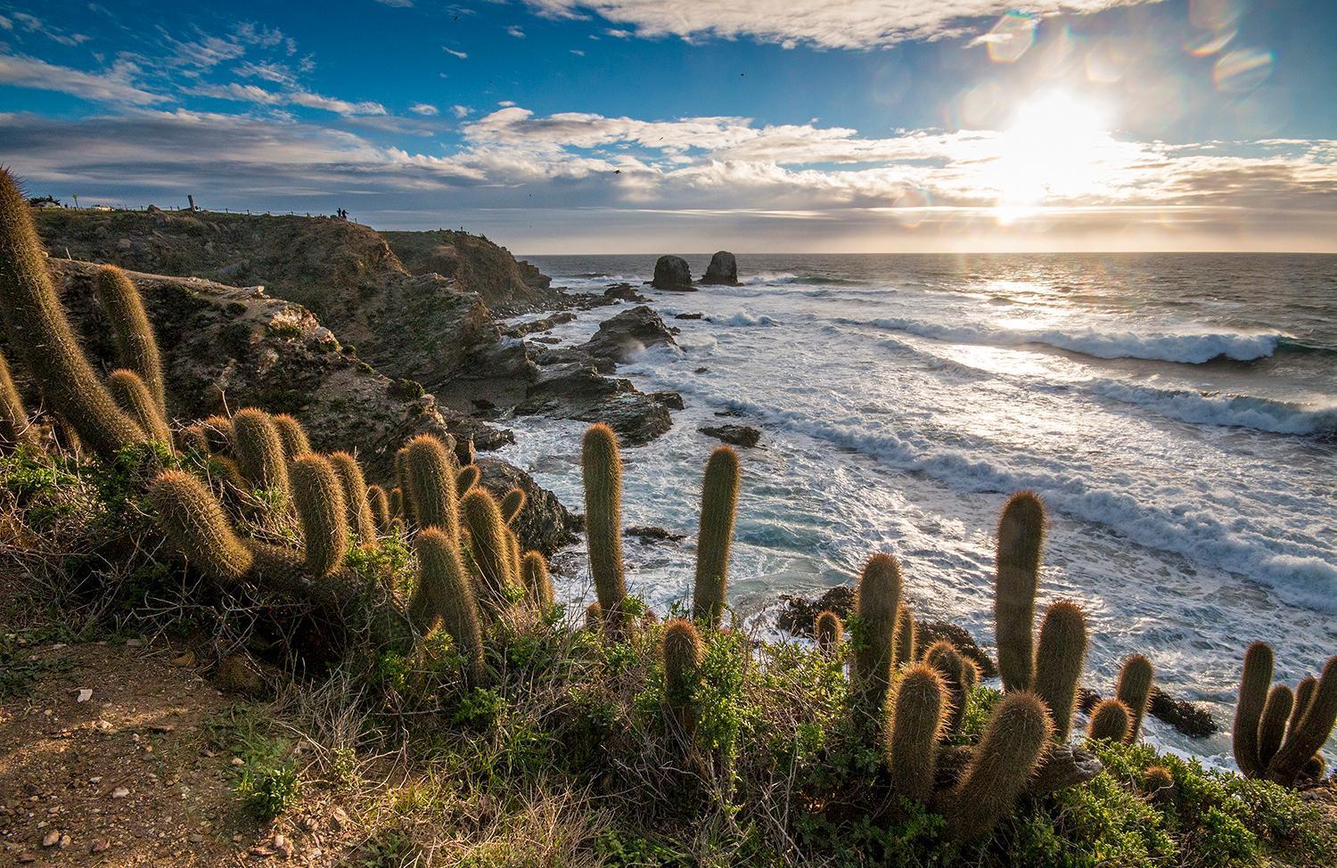 Hotel Alaia Pichilemu Ngoại thất bức ảnh