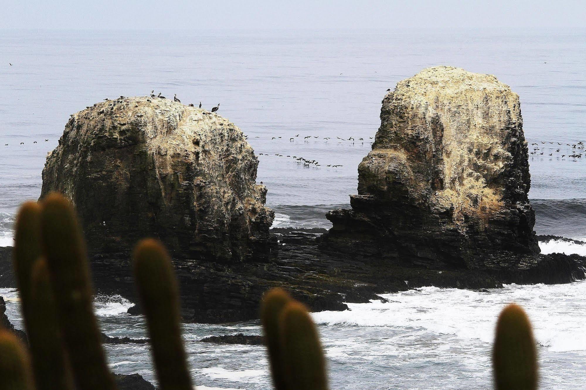 Hotel Alaia Pichilemu Ngoại thất bức ảnh